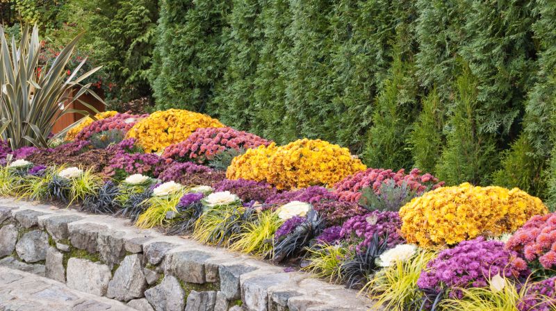 Decorative Garden Borders