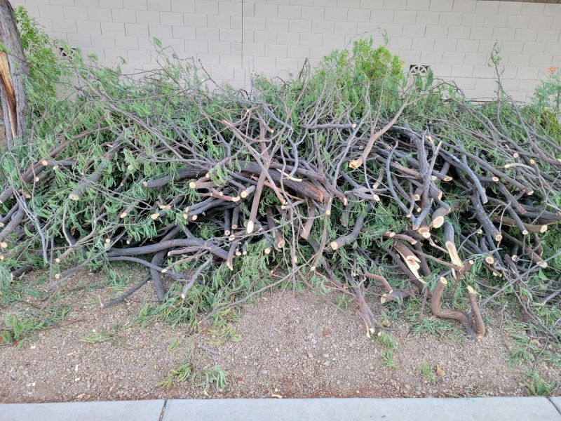 Branch Chippings for Landscaping