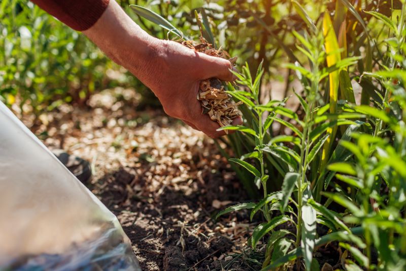 Mulching with Branch Chippings