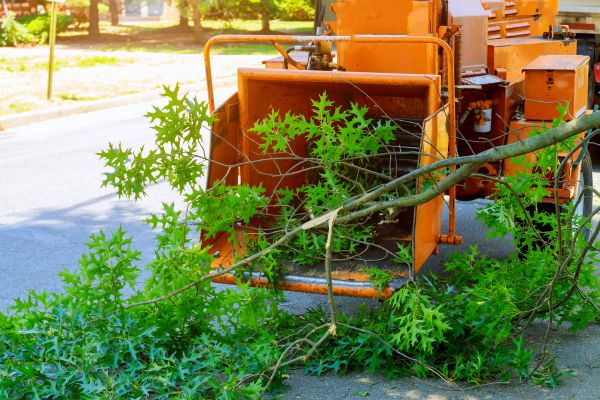 Limb Mulching
